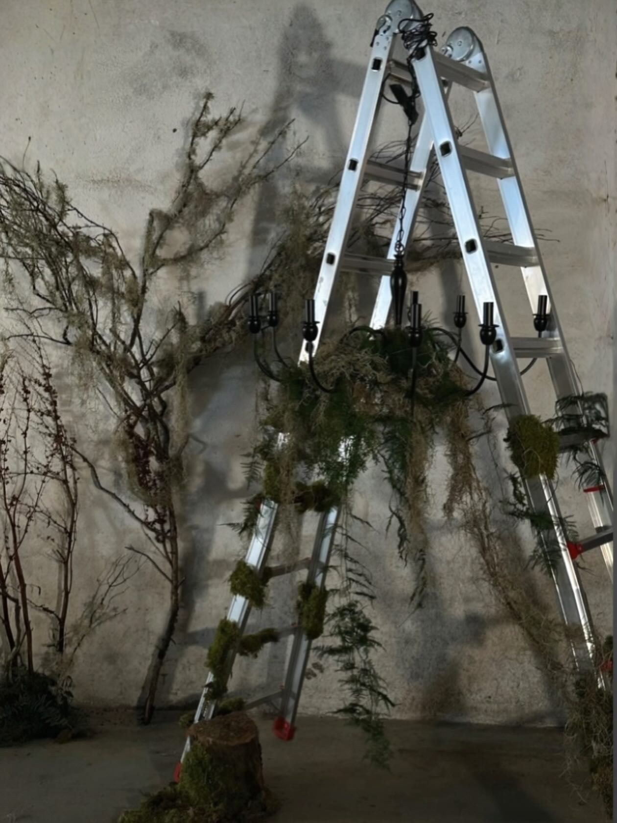 Montaje de una instalación de ramas colgantes con escalera