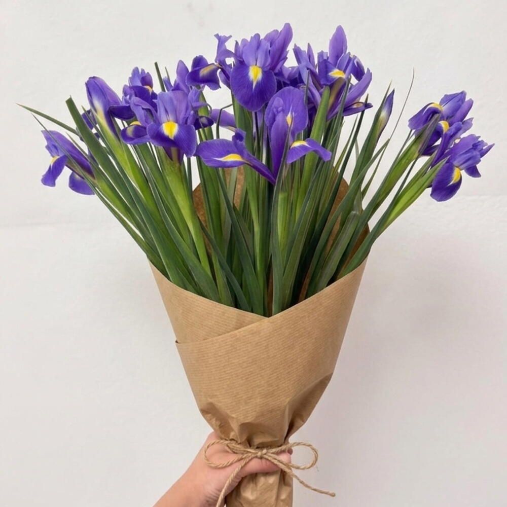 Ramo de iris morados