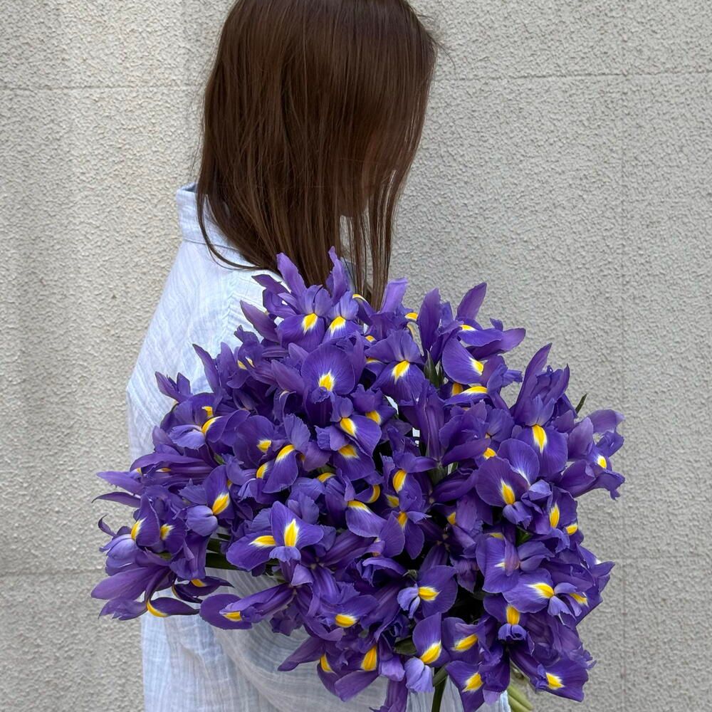 Ramo de iris morados, 50 iris (foto 2)