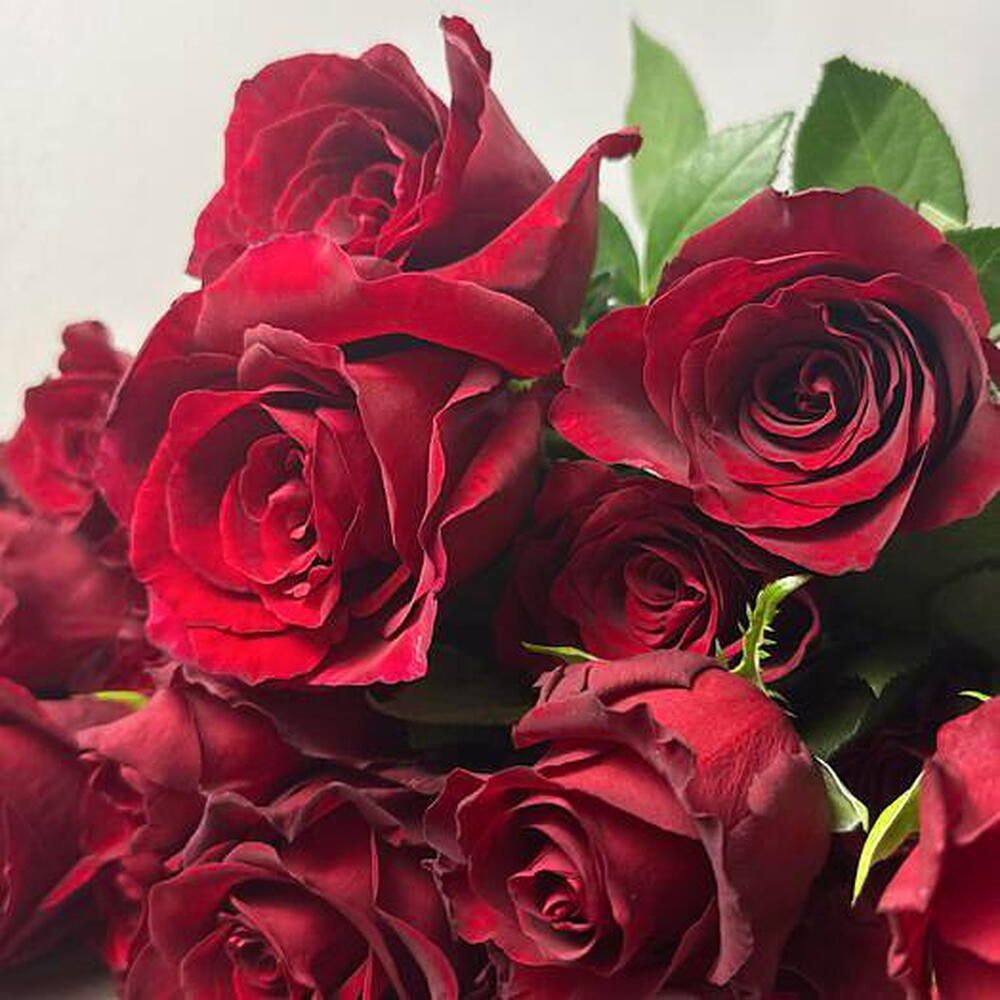 Ramo de rosas rojas, 55 rosas (foto 2)